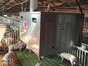 雛鷹集團養豬場