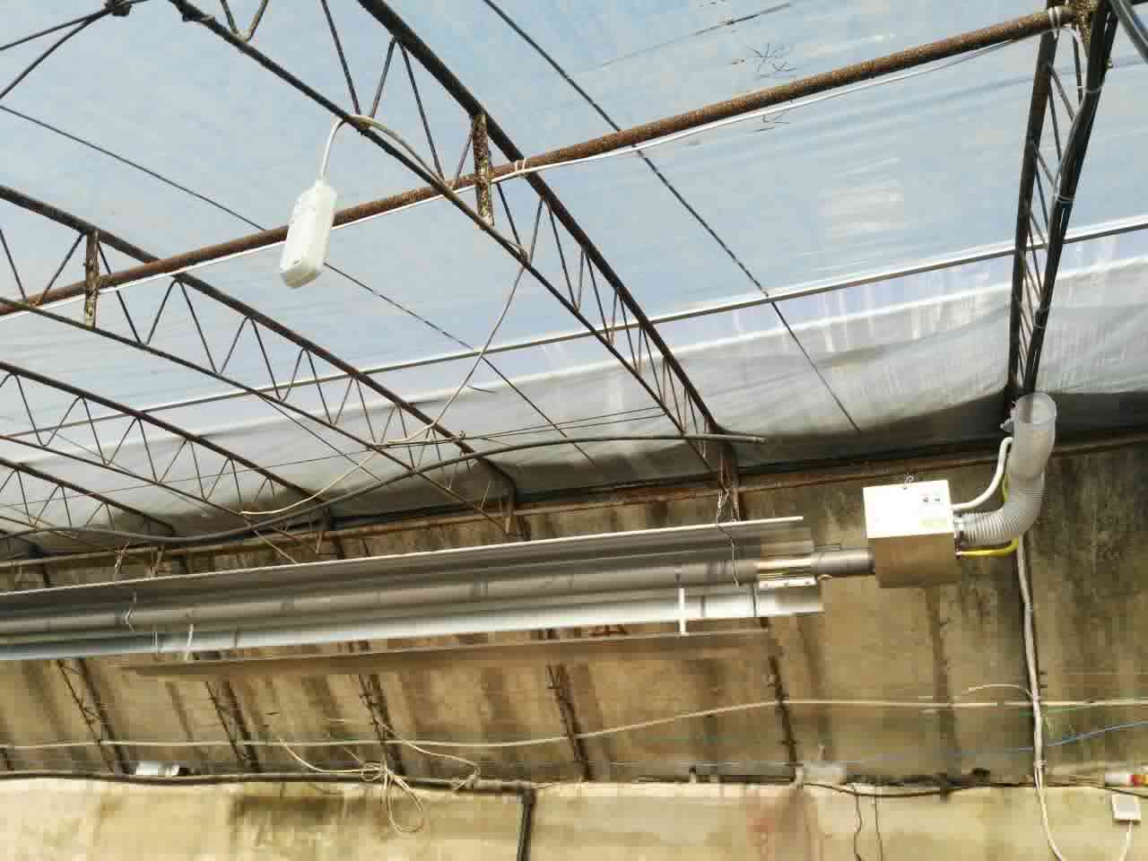 青島平度蔬菜大棚案例